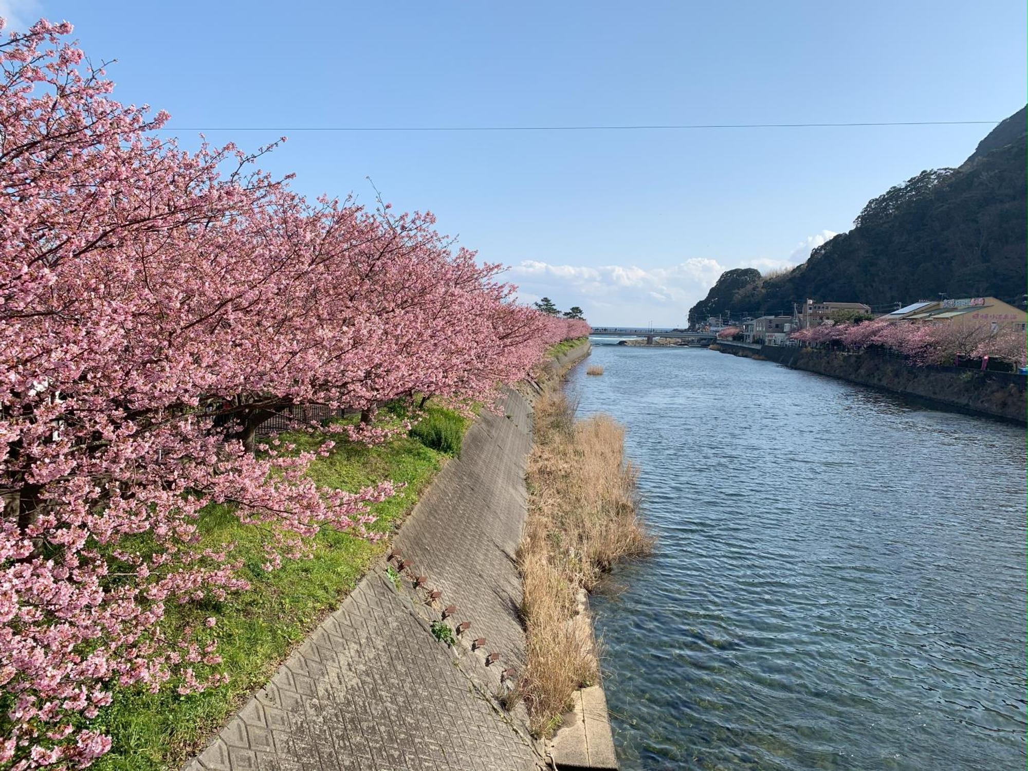 伊豆高原テラス-寛道- Villa Ito  Bagian luar foto